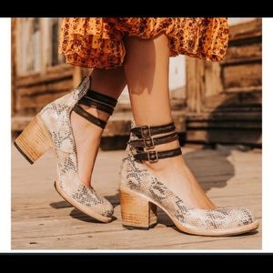 Freebird Randi Multi Snake heels. EUC